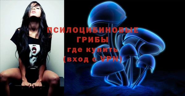 spice Богородск
