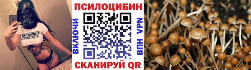Псилоцибиновые грибы прущие грибы Смоленск