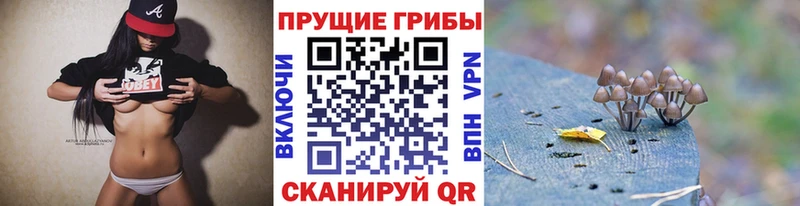 Псилоцибиновые грибы Cubensis Смоленск